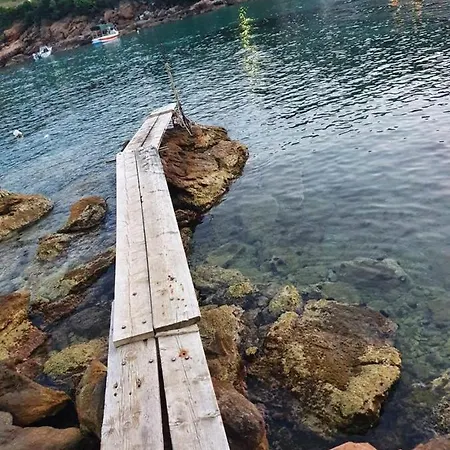 Casa Dobrescu Katigiorgis Pelion Argalasti