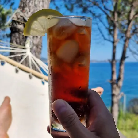 Casa Dobrescu Katigiorgis Pelion Maison d'hôtes 4*